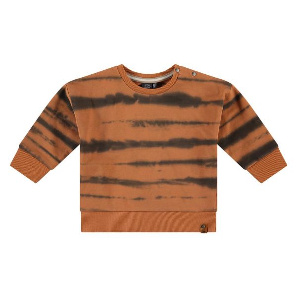 Babyface Sweatshirt Pullover Junge WInter canyon Batik